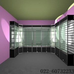 钛合金展柜 (21)